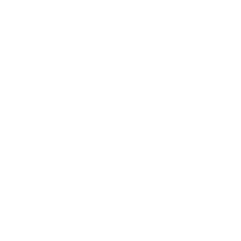 Ellipse 484 White